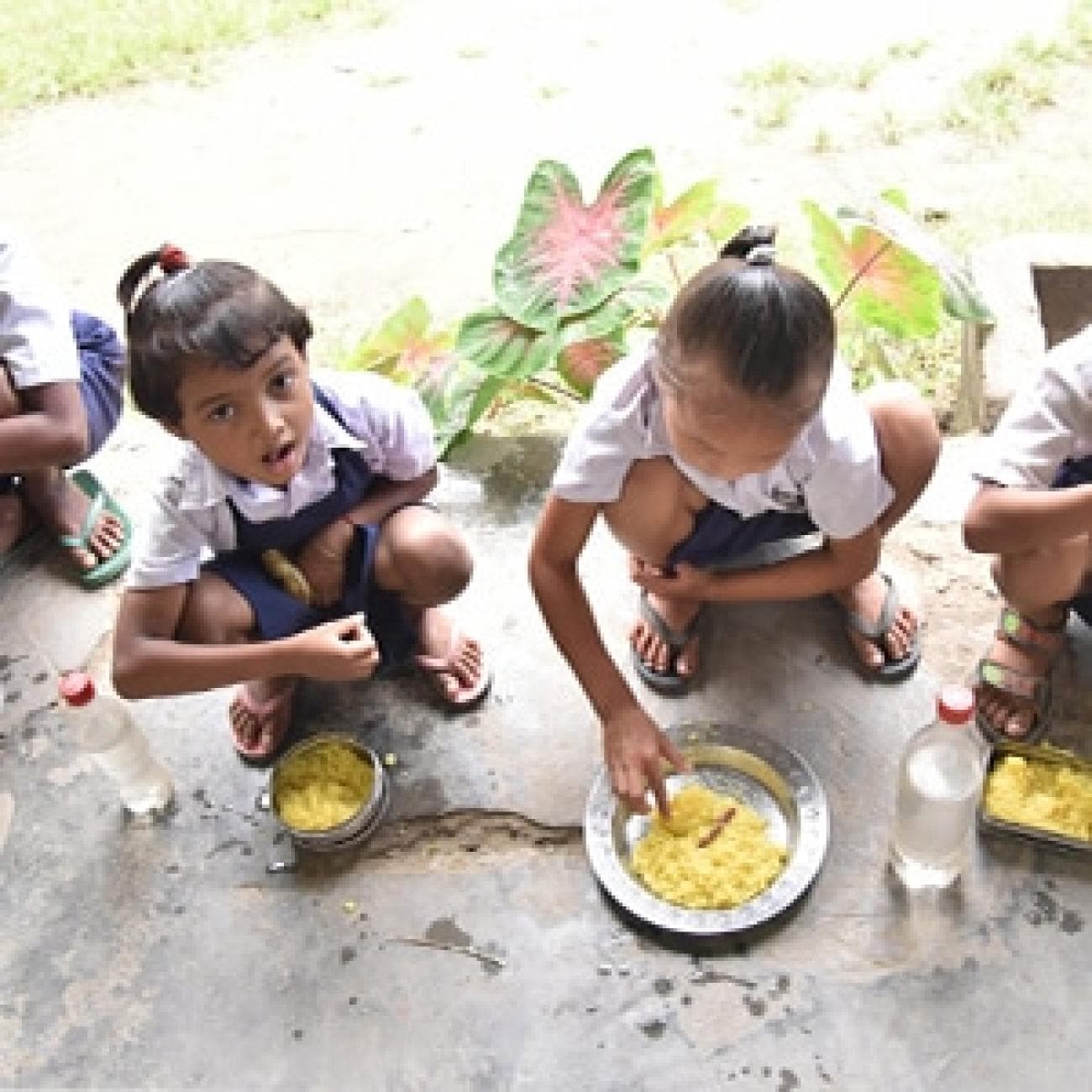 Volunteers serving meals at a Narayan Seva drive.